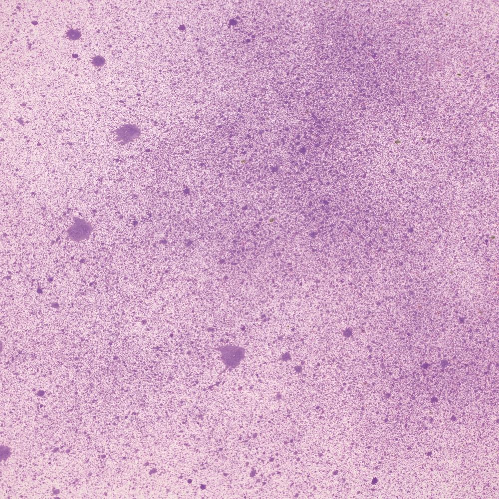 Cosmic Shimmer Botanical Spray - Purple Anemone